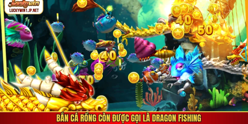 Bắn cá rồng còn được gọi là Dragon Fishing
