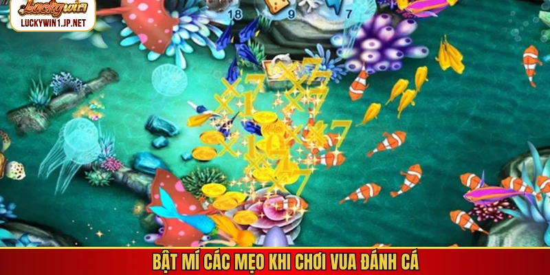 Bật mí các mẹo khi chơi vua đánh cá