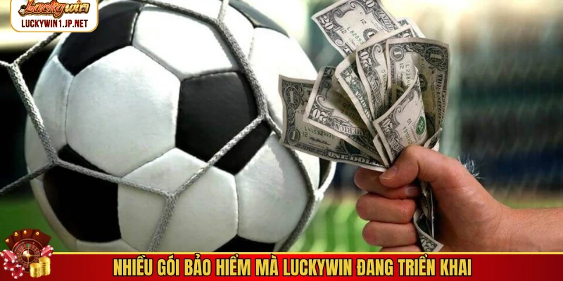 Nhiều gói bảo hiểm mà Luckywin đang triển khai